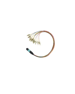 12F MTP/MPO-LC Multimode 0.9mm Fan-out Patch Cable